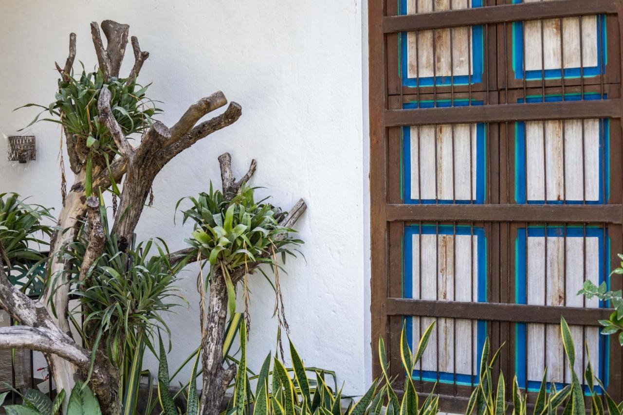 Casa Jacaranda Hotel Boutique - Cauca Viejo - Mayores De 14 Anos - Jericoc  Kültér fotó